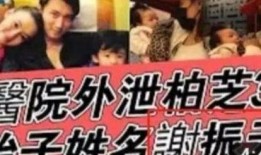 正能量 娱乐圈吃瓜猛料 热门大瓜莫里秀,莫里秀独家揭秘热门大瓜背后的故事